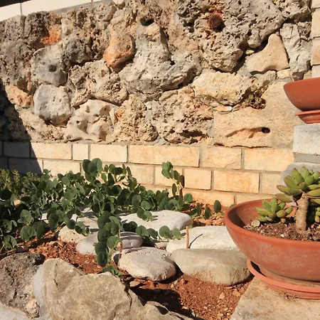 By The Sea Cove Stratincica, Korcula - 9264 فيلا لوكا